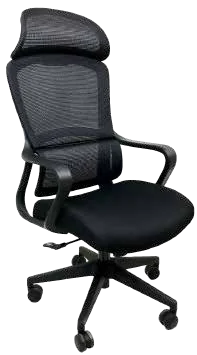 ESLOVAQUIA NEGRO
