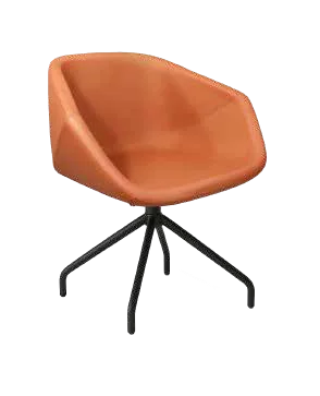 PITCHER BASE SPIDER