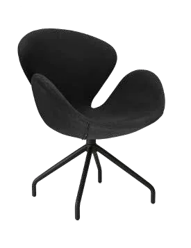 SWAN BASE SPIDER